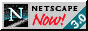 netscap3.gif (12281 bytes)