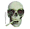 skull3.gif (9588 bytes)